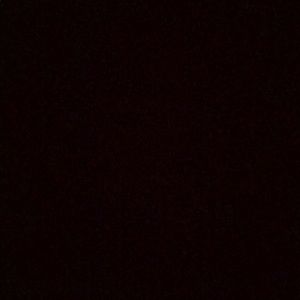 Meet your Posher, Shanese